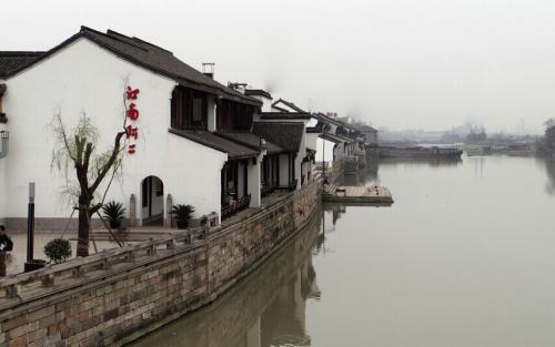 动物帮帮忙保卫家园